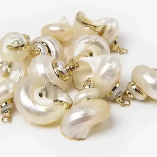 Gold Dipped Snail Shell Charm