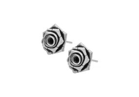 Rose silver stud earrings